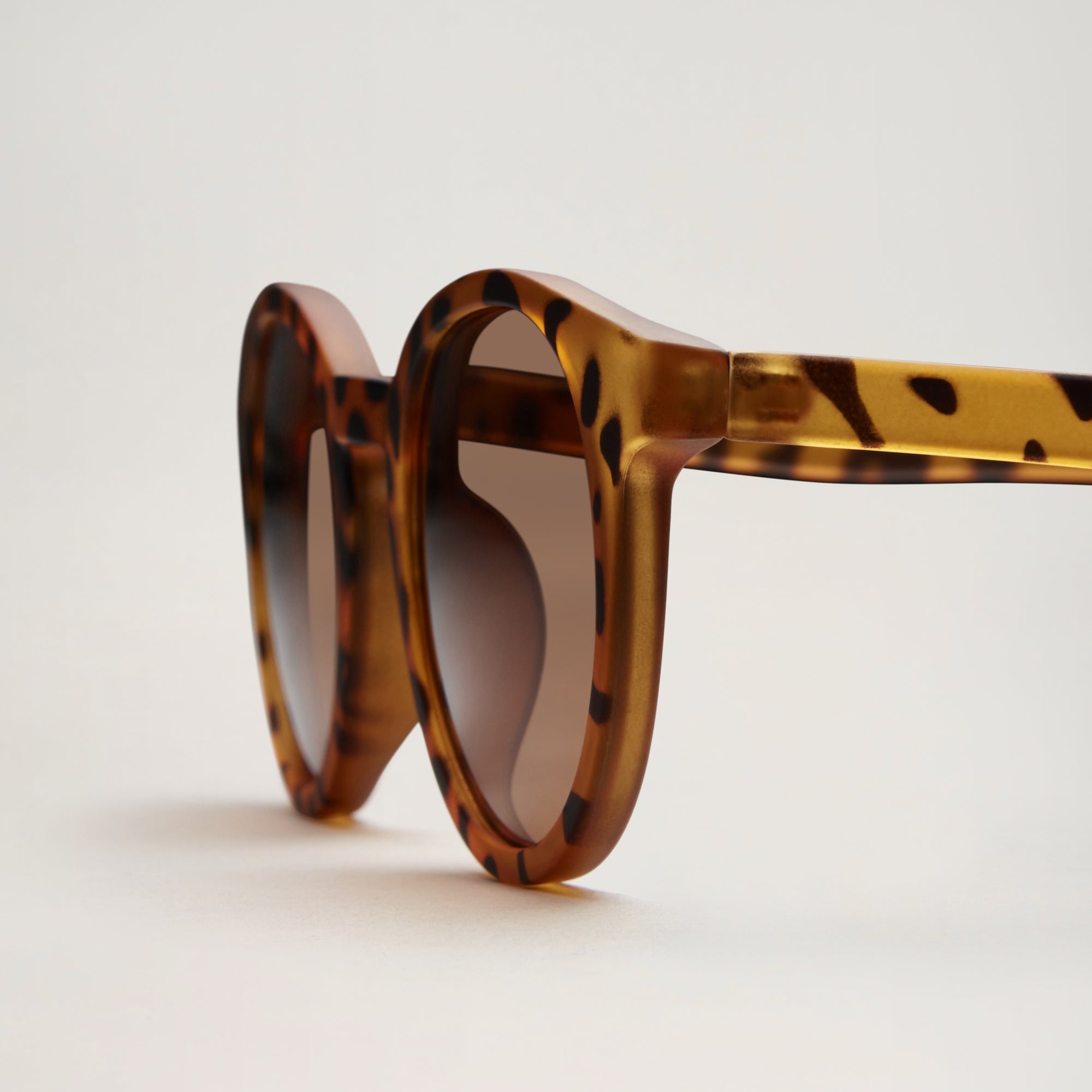 Sunglasses Classic ADULT